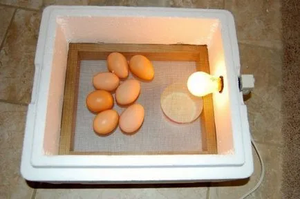 Мини инкубатор за яйца с ръцете си