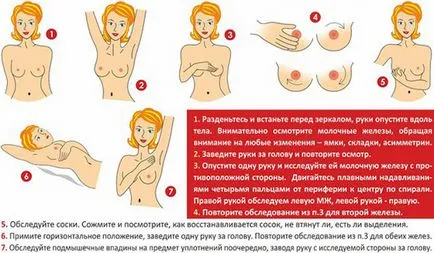 Функцията на млечната жлеза, структура, симптомите и лечението