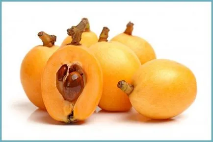 Loquat засаждане, грижи и отглеждане в дома