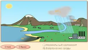 viziune asupra lumii ecologice noi - ecologie