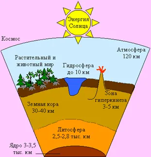 viziune asupra lumii ecologice noi - ecologie