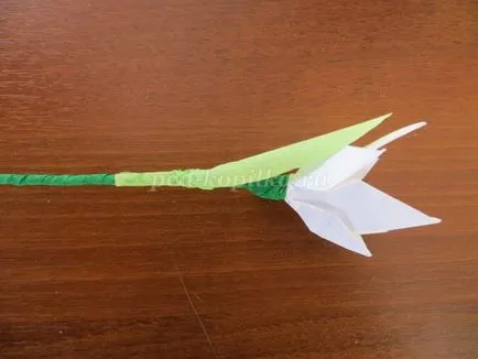 Origami tavaszi