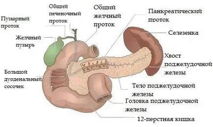 Pancreatita după îndepărtarea clinicii bolii vezicii biliare