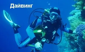 Плажовете на Yalta този плаж Massandra, Ялта морски плаж и на делфините в 15-20 минути от първа линия