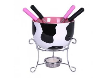 Ce este specie fondyushnitsa, în special arzător pentru fondue, electronica shoppist