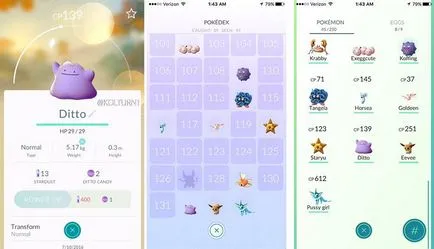 Pokemon megy minden a legritkább Pokémon, hogyan és hol találja őket, hogyan kell nyomon követni, és hogyan kell elkapni őket