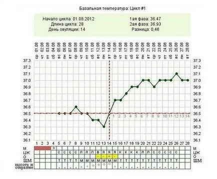 Dupa ovulatie, colul uterin scade