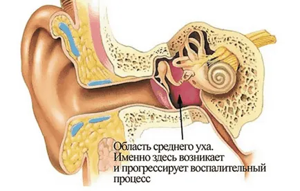 Причините за виене на свят, гадене, слабост