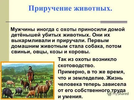 Представяне на появата на селското стопанство и животновъдството, древна история на древния свят 5