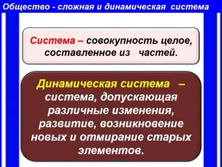 Prezentare - societate ca o formă de activitate umană