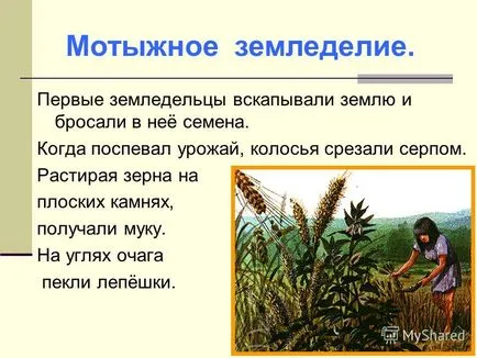 Представяне на появата на селското стопанство и животновъдството, древна история на древния свят 5