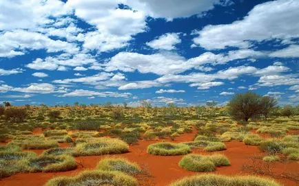 Пустините на Австралия, пустиня Грейт Виктория, Голямата пясъчна пустиня, Танами, Gibson Desert,