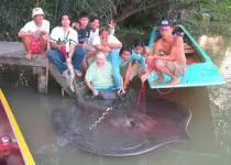 Horgászat a delta Orinoco