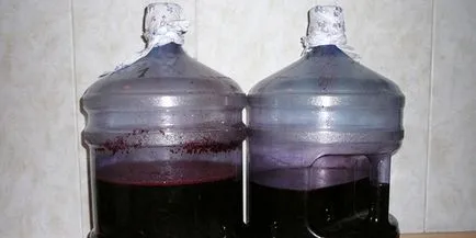 Rețetă de vin de la chokeberry in casa cu frunze de cireșe, mere și alcool