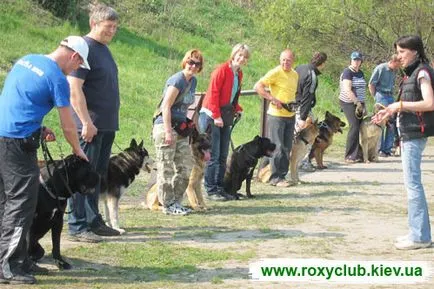 Roxy csapat - Dog Training Center képzés kutyák minden fajta jegyek