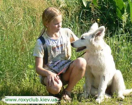 Roxy клуб - дресура Централно- обучение на кучета от всички породи знаци