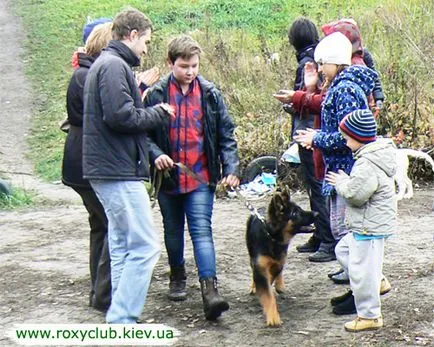 Roxy клуб - дресура Централно- обучение на кучета от всички породи знаци