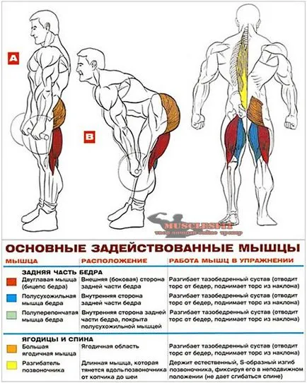 Румънският пъхна полюс