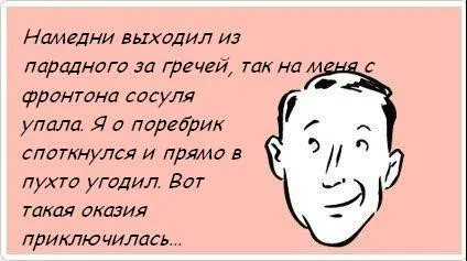 София като културна столица, Netlore Петър, София град, интелектуалци,