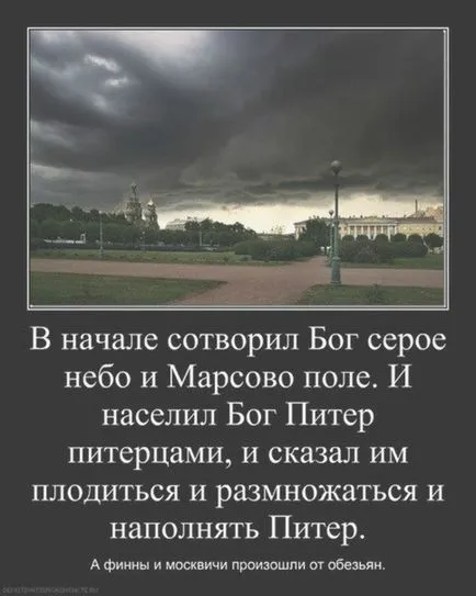 București Capitala Culturii, Netlore Petru, București, orașul, intelectualii,