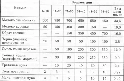 Колко време трябва да се хранят да расте едно прасе