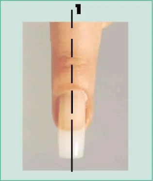 Създаването на подходяща форма на удължаване на ноктите - моят живот