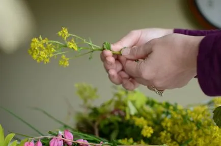 Flori uscate fotografii flori, titluri și descrieri - care pun floristica