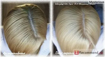 Устойчив крем коса Schwarzkopf цвят експерт - «устойчиви крем коса Schwarzkopf