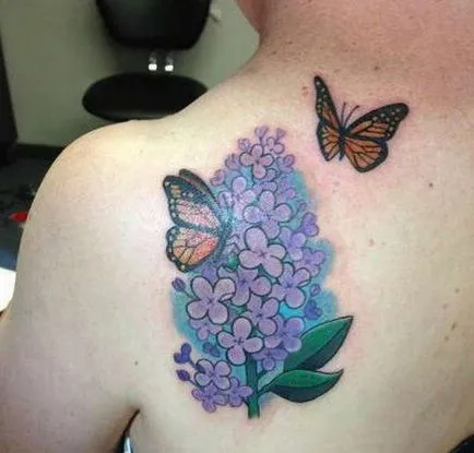 Tattoo pillangó tetoválás érték, 56 fényképek, vázlatok