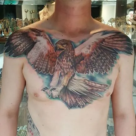 Tattoo héja tetoválás jelentősége, fotók, vázlatok