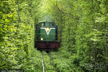 Tunnel of Love ukrán erdőben
