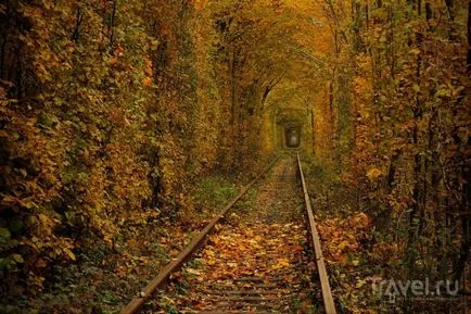 Tunel de dragoste în pădure din Ucraina