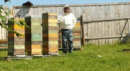 Beehive caracteristici de design boa și pchelovedeniya, fabricarea propriile lor mâini