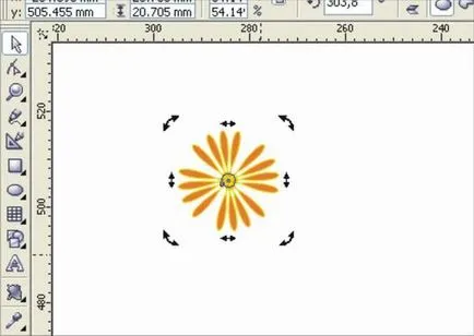 Flori de primavara - lecții Corel Draw