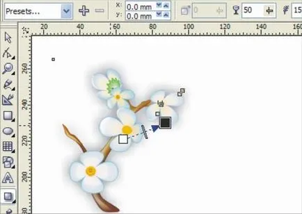 Tavaszi virágok - Corel Draw tanulságok