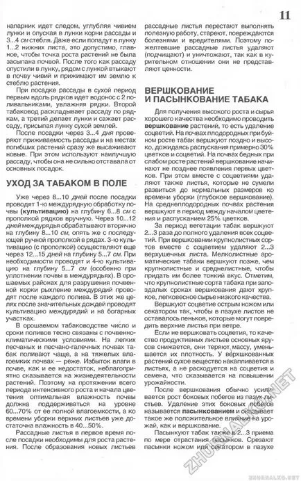 Tutun de îngrijire câmp vershkovanie și pasynkovanie de tutun - DIY (lumina), 1993-1905, pagina 13