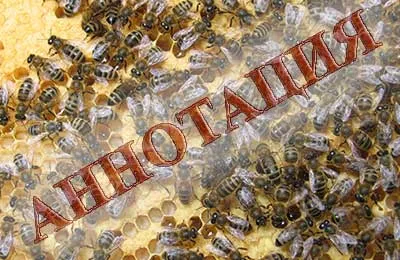 A magazin „Méhészeti” - méz betakarítás spurges