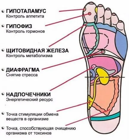 7 puncte active pe piciorul pe care trebuie să le cunoașteți