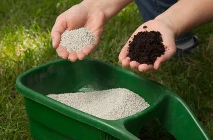 Caracteristici Astrakhan pepene verde, fotografii, plantare, îngrijire, cultivare, protecție împotriva bolilor și