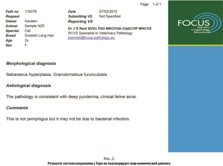 Autoimmun betegségek pemphigus és discoid lupus erythematosus