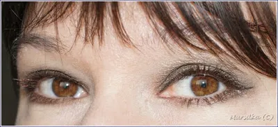 Красота играчки кафяв трио на грим на очите, Estee Lauder (молив, очна линия, спирала)