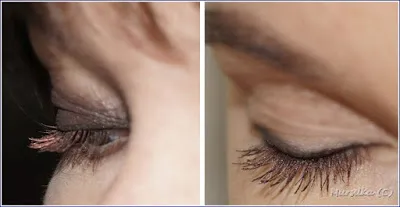 Красота играчки кафяв трио на грим на очите, Estee Lauder (молив, очна линия, спирала)