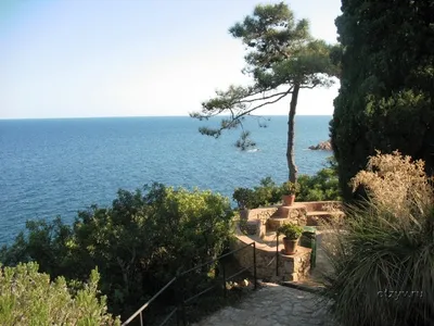 Blanes, Botanică marimurtra gradina