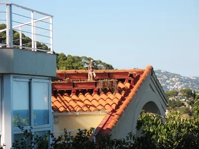 Blanes, a botanikus kert marimurtra