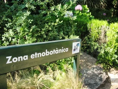 Бланес, ботаническата градина marimurtra