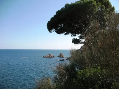 Blanes, Botanică marimurtra gradina