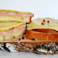 sandwich-uri de pește - (mai mult de 22 de rețete), cu fotografii de pe