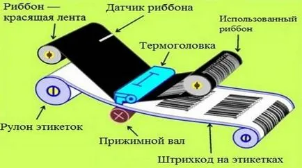 Какво е топлинна главата и как да се грижим за нея, alliancesoft