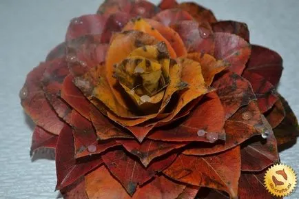 Цветя, изработени от естествени материали със собствените си ръце, снимки