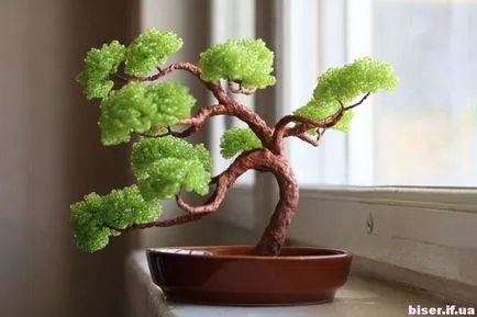 Készíts egy bonsai fa gyöngyök mágikus gyöngyök